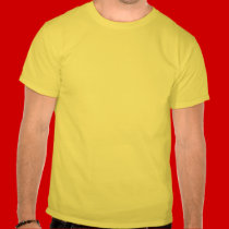 i am dragon t-shirts