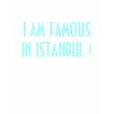 I am famous in Istanbul ! t-shirts