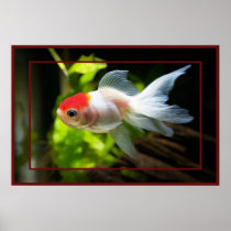 I-am-Fish-2 Poster