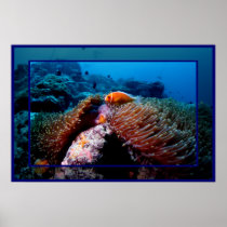 I-am-Fish-3 Posters