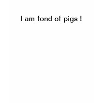 I am fond of pigs -spaghetti strap T t-shirts