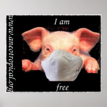 I am free poster