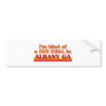 I am kind of a BIG DEAL in Albany Bumper Sticker