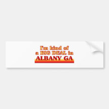 I am kind of a BIG DEAL in Albany Bumper Sticker