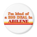 I am kind of a BIG DEAL in Albany Fridge Magnet