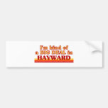I am kind of a BIG DEAL in Hayward Bumper Stickers