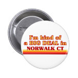 I am kind of a BIG DEAL in Norwalk Pinback Button