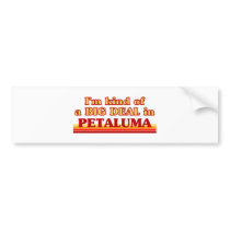I am kind of a BIG DEAL in Petaluma Bumper Stickers