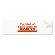 I am kind of a BIG DEAL in Woburn Bumper Sticker