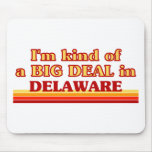 I am kind of a BIG DEAL on Delaware Use Pad