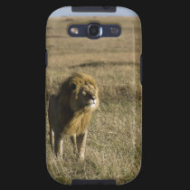 I am King, Hear me Roar casemate cases