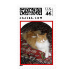 I am King Thats Why Postage Stamps