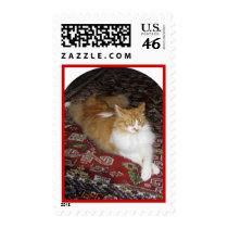 I am King Thats Why postage