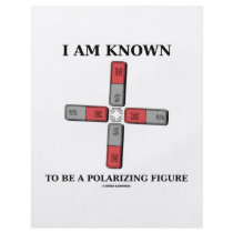 I Am Known To Be A Polarizing Figure (Quadrupole) Custom Flyer