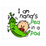 I Am Nana's Pea In A Pod 1 Postcard