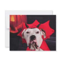 I am not a Devil Dog! invitations by lover196969 I am not a Devil Dog! invitations