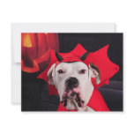 I am not a Devil Dog! Custom Announcements
