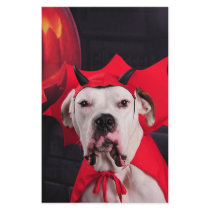 I am not a Devil Dog! stationery by lover196969 I am not a Devil Dog! stationery