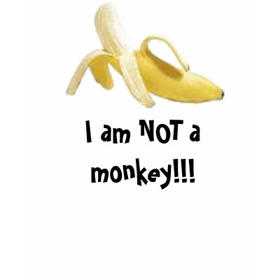 http://rlv.zcache.com/i_am_not_a_monkey_tshirt-p235198298841531840yk6v_400.jpg