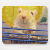 I am not a mouse! mousepads