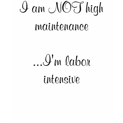 I am NOT high maintenance...I'm labor intensive T-shirts by dll932