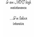 I am NOT high maintenance...I'm labor intensive t-shirts by dll932 I am NOT high maintenance...I'm labor intensive t-shirts