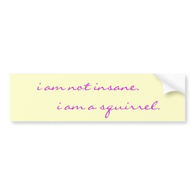 i am not insane, i am a squirrel bumper sticker by saucisquirrel