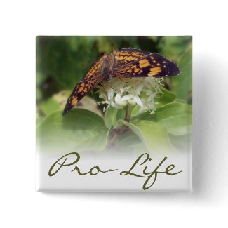 I am Pro-life-Psa 139:14 button
