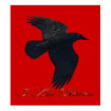 I AM RAVEN II Art Poster posters by RavenSpiritPrints I AM RAVEN II Art Poster posters