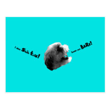 I Am Shih Tzu Hear Me Bark Postcard