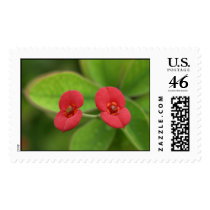 i am small postage
