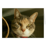 i am smiling - Customized Card