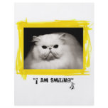 I am smiling flyer design