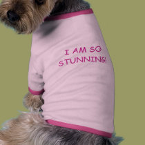I AM SO STUNNING! pet clothing