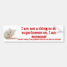 I am someone! bumper sticker