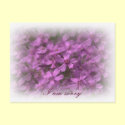 I am sorry - Dreamy pink flowers postcards by Rainmountain I am sorry - Dreamy pink flowers postcards