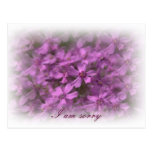 I am sorry - Dreamy pink flowers Postcard