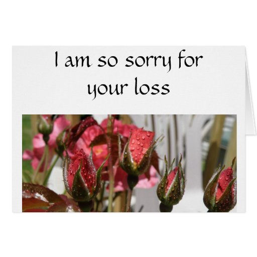 i-am-sorry-for-your-loss-cards-zazzle