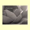 I am sorry! postcards by Rainmountain I am sorry! postcards