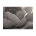 I am sorry! postcards