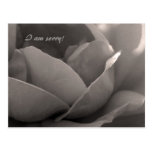I am sorry! postcards