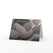 I am sorry - rose card in b&w by Rainmountain I am sorry - rose card in b&w