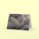 I am sorry - rose card in b&w
