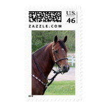 I Am Terribly Oh Cay Stamps
