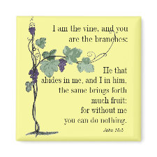 I am the Vine John 15:5 Bible Verse MAGNET magnet