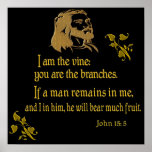 I am the vine poster