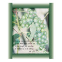 I am the Vine Scripture art posters