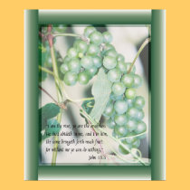 I am the Vine Scripture art posters