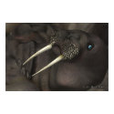 I Am The Walrus posters by Kathy I Am The Walrus posters