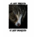 I AM TIRED I AM BORED Cat Picture T-Shirt